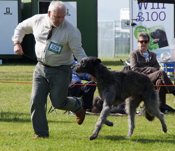 Almondbank Lead on Macduff